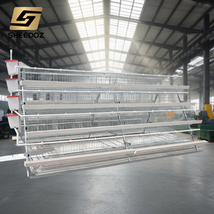 Jaulas de batería para gallinas ponedoras, equipos para granjas avícolas y cría de <span class=keywords><strong>huevos</strong></span> - Product Image 5