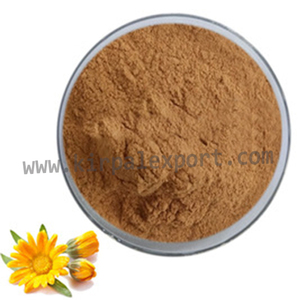 Arnica Montana-hierbas orgánicas naturales, Triple refinado, proveedor indio - Product Image 3