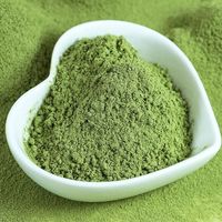 Poudre d'extrait de feuille de menthe poivrée soluble dans l'eau, poudre d'extrait de menthe pour boisson, complément alimentaire