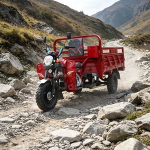 Tricycle à essence <span class=keywords><strong>pour</strong></span> passagers XF 250cc avec cabine fermée, moto-taxi <span class=keywords><strong>pour</strong></span> adultes, garantie <span class=keywords><strong>1</strong></span> <span class=keywords><strong>an</strong></span>, moteur XF - Product Image 2