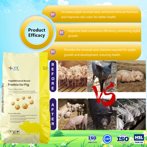 Nhỏ Peptide Chelated premix cho heo con thức ăn phụ gia nhanh lợn vỗ béo tăng cường tăng trưởng nhanh thức ăn phụ gia cho lợn premix - Product Image 3