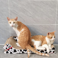 Nouveau design de chat en carton en forme de chien grattoir grand chat planche à gratter jouet