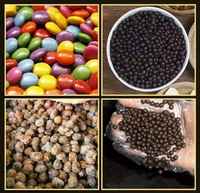 Machine multifonctionnelle d'enrobage de chocolat, d'amandes et de noix Machine d'enrobage de sucre d'arachide et de bonbon