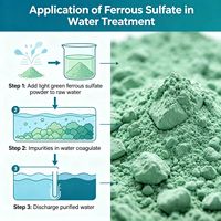 Sulfate ferreux heptahydraté de qualité agricole pour conditionneur de sol et engrais ferreux