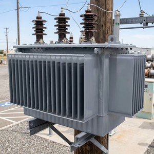 Transformador de Potencia Trifásico de Media Tensión de 200kVA 315kVA para Montaje en Poste, Directo de Fábrica, Fabricante con 35 Años de Experiencia - Product Image 5
