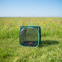 Petite cage d'élevage d'insectes en maille noire respirante à motif uni avec armature en fil d'acier, garniture verte, fermeture éclair, cage pop-up pour animaux de compagnie toutes saisons