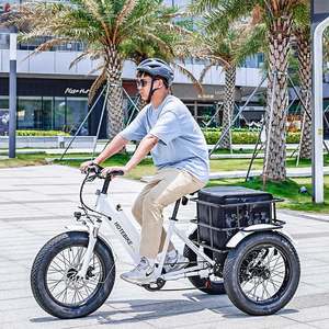 Tricycle électrique 750W pour personnes à mobilité réduite, E-Trike 20 pouces, 3 roues, pour adultes, entrepôt UE, vélo cargo électrique - Product Image 2