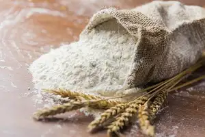 Polvere di glutine di grano vitale di alta qualità