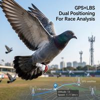 Traceur GPS pour oiseaux de 2,2 g, traceur GPS pour pigeons avec 30 jours d'autonomie et corps étanche IP67 pour les amateurs de courses