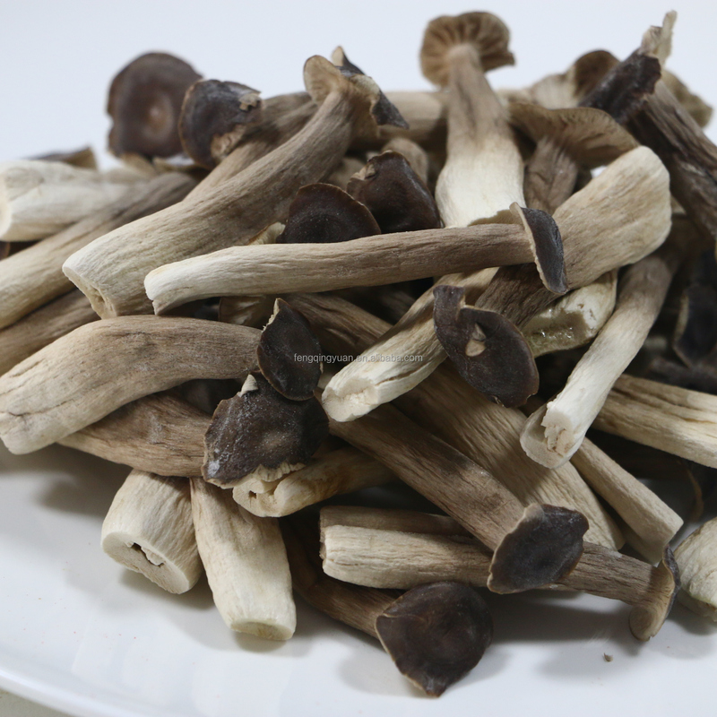 Wholesale Bulk Organic Freeze Dried Fruit