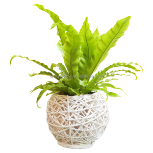 <strong>Antique</strong> Wash Handmade Rattan Tea Cup Planter <strong>Basket</strong> Wicker Flower <strong>Basket</strong> Willow Garden Pot - Product Image 5