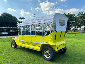 Fabricante de Alta Calidad, Auto Eléctrico Clásico de 8 Plazas, Estilo Vintage, para Turismo, Autos Clásicos Nuevos - Product Image 6