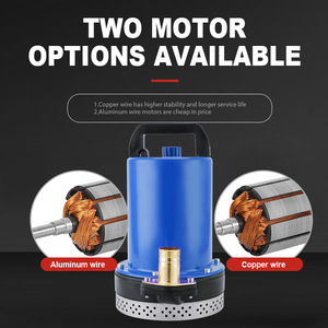 <span class=keywords><strong>Pompe</strong></span> submersible DC 1 pouce <span class=keywords><strong>de</strong></span> sortie 12V 24V 36V 48V 60V 72V, haute pression, grand débit, alimentée par batterie solaire - Product Image 3