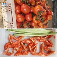 2/4/6/8-delige fruit- en groentesnijmachine voor tomaten, sinaasappels en citroenen