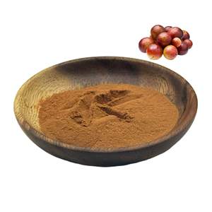 Klife оптом <span class=keywords><strong>Camu</strong></span> фруктовый порошок натуральный органический <span class=keywords><strong>Camu</strong></span> Фруктовый Порошок - Product Image 1