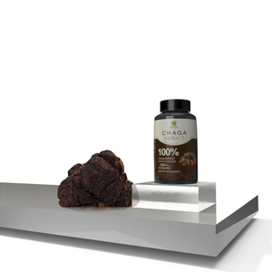 OEM özel etiket bitkisel diyet takviyeleri 500mg * 90 kapsül <span class=keywords><strong>Chaga</strong></span> mantar özü kapsül 30% polisakkaritler - Product Image 1