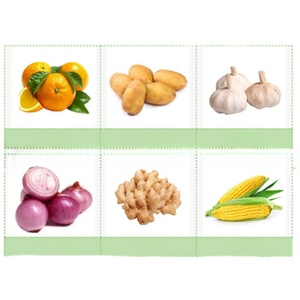 Máquina Eléctrica Automática para Empacar en Bolsas de Malla de Plástico, para Ajo, Cebolla, Jengibre, Patata, Frutas y Verduras, con Motor de Sellado - Product Image 6