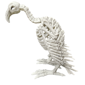 Vulture Skeleton Injection Molding Animal Skeleton Halloween <b>Decoration</b> Patio <b>Decoration</b> Holiday Party Tabletop <b>Decoration</b> - Product Image 1