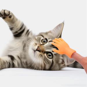 Fun <b>Cat</b> Finger Cots Solid Color Plastic Emulational Pet Interactive <b>Toys</b> Yiwu Origin - Product Image 2