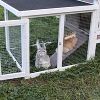 Niche en bois pour petits animaux, abri pour animaux domestiques, jardin d'extérieur, jardin