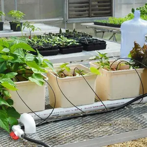Domates/biber ve salatalık ekimi için kaliteli tarım sera Hydroponics hollandalı kova sistemi