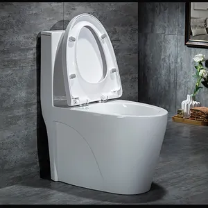 Wholesale White Double Flush Siphonic 1 Piece S Trap Wc Toilet Bowl Commode Ceramic Toilet Pot Price For Bathroom