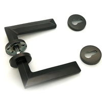 Poignée de porte moderne en acier inoxydable avec cylindre européen et écusson, finition laiton mat, bronze antique, noir, pour entrée
