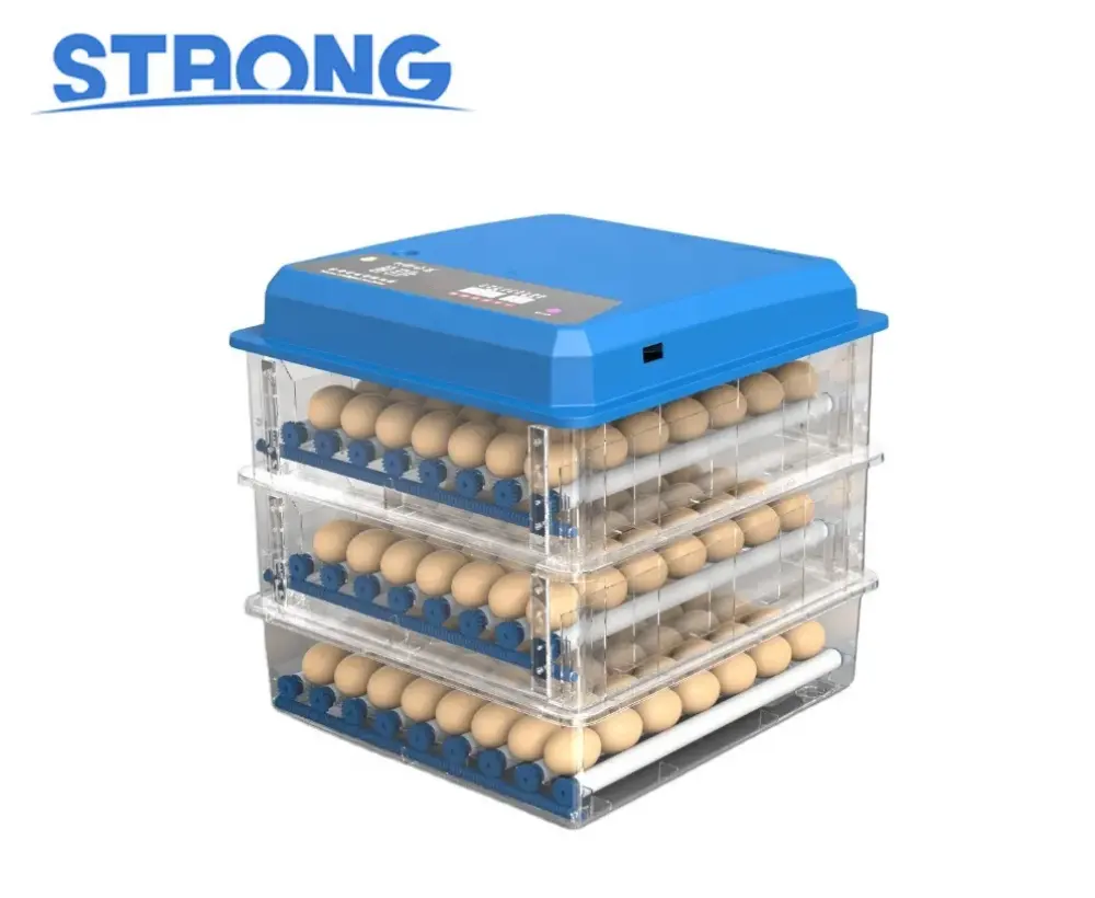 Incubadora de huevos de temperatura automática, el mejor precio de fábrica, 16, 36, 96 Uds., Mini incubadora de huevos de pollo automática de doble potencia
