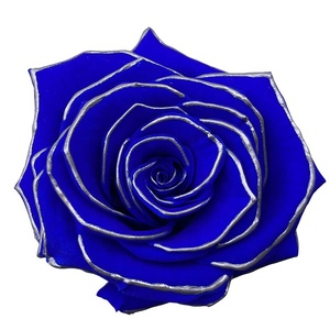 Bouquet de roses noires séchées américaines, longue durée, vraies roses éternelles, arrangements floraux pour décorations florales, Saint-Valentin - Product Image 4