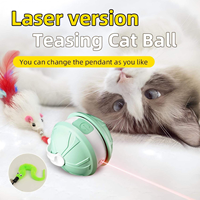 Nouveauté 2026 : Balle interactive rechargeable en silicone et plastique écologique pour animaux de compagnie, jouet automatique pour chat et chien