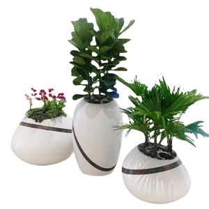 Fiberglass Flower Pots Circular Floor Standing White Modern Design For Shopping Mall Decorations - Product Image 5