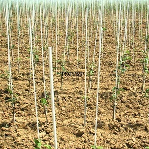 High Strength Plant Support <b>Stake</b> Fiberglass <b>Tree</b> <b>Stakes</b> - Product Image 5