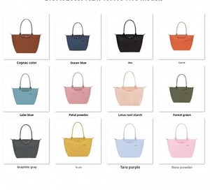 Bolso de Mano Tipo Dumpling de Cuero Genuino y Nailon, Marca de Diseño LY, Edición Dragón Francés 70 Aniversario, Impermeable, con Cierre - Product Image 6