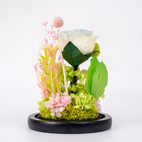 Roses multicolores préservées en gros avec fleurs dans un verre pour la Saint-Valentin, cadeau pour la fête des mères