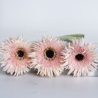 Pabrik Yunan Langsung Memasok Potongan Segar Gerbera Bunga Pink Ekspor Lily untuk Pernikahan Dekorasi Pesta Rumah