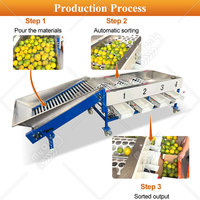 Blauwe bes sorteermachine, tomaten fruit sorteermachine, sinaasappel was- en sorteermachine te koop