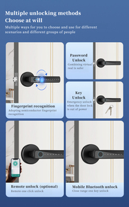 图雅球形家用木门指纹密码锁分体式黑色门把手内门门把手 - Product Image 3