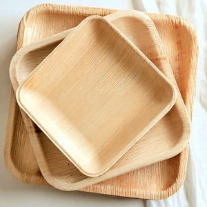 Ensemble d'assiettes en feuilles de palmier Eco2go Vietnam - Assiettes et plats biodégradables de taille personnalisée - Product Image 3