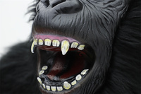 Costume de mascotte géant gonflable King Kong Gorilla Cartoon Vertical le plus populaire pour adultes Unisex Promotion Party