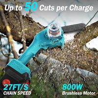 Scies à perche électriques sans fil 2-en-1 pour l'élagage des arbres - Scie à chaîne à perche de 6 pouces avec batterie et perches d'extension