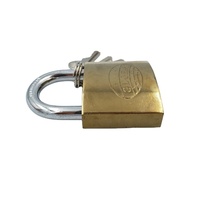 Timbre de marque cylindre en laiton, cadenas en fer, plaque électronique plaqué or et titane, bon marché, 32mm, 10 pièces