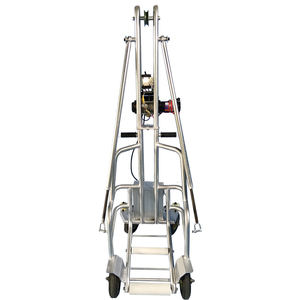 Veicolo Elettrico per il Trasporto di Suini Deceduti, Rimorchio per Suini Deceduti, Macchina per il Trasporto di Corpi di Suini, Rimorchio per Suini Deceduti - Product Image 6
