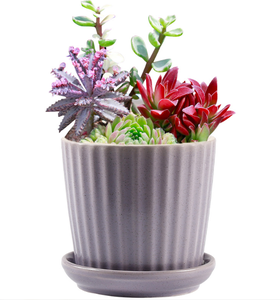 Pots à fleurs en porcelaine émaillée nordique, directement de l'usine, avec trou de drainage et soucoupe intégrée, 4 pouces, design rayé, pour maison et <span class=keywords><strong>jardin</strong></span> contemporains - Product Image 3