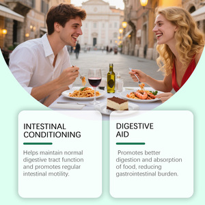 Capsules <span class=keywords><strong>pour</strong></span> le soin intestinal, favorisent la digestion, soutiennent la <span class=keywords><strong>santé</strong></span> intestinale, paquet de 60 <span class=keywords><strong>pour</strong></span> <span class=keywords><strong>tous</strong></span> - Product Image 3