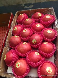 Mele Fuji Rosse Biologiche Dolci e Fresche dalla Cina, Prezzo all'Ingrosso, Nuovo Raccolto di Frutta e Verdura Succosa - Product Image 5