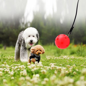 Portátil para juguete de coqueteo de gatos y perros Poste telescópico de acero inoxidable fácil de usar - Product Image 5