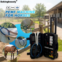 Appareil de thérapie PEMF à écran tactile de haute qualité pour animaux, soulage le stress, dispositif de soin magnétique PEMF pour clinique vétérinaire
