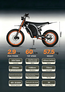 Bici Elettrica Veloce con Motore Centrale Brushless da 2900W di Picco, Lunga Autonomia, Bici Elettrica da Fuoristrada con Display LCD - Product Image 6