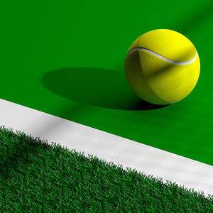 Alfombra de cancha de tenis de césped artificial pickleball de cricket de paleta personalizada de 15mm de calidad superior - Product Image 3