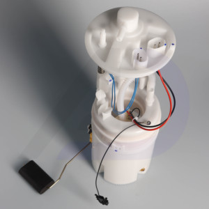 BMW X5 E70 LCT için OEM 16117207599/16117204763/16117195464 yakıt pompası meclisi (AJD-C72500) - Product Image 4